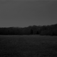 Untitled #9 (The Field)
